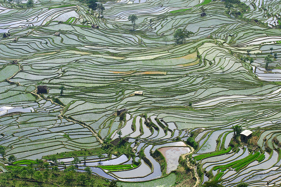 Green Development and Urbanisation in China