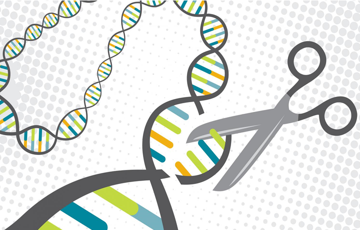 CRISPR Babies: An Unconscionable Experiment Rocks the Scientific World