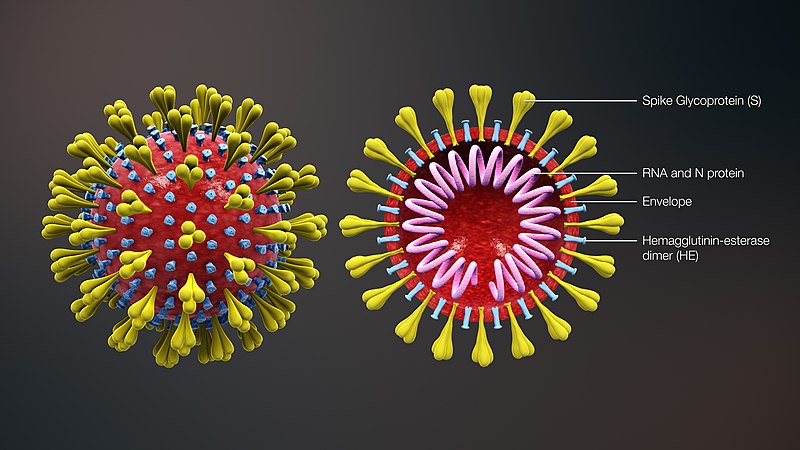 Covid-19: Airborne Transmission and What Figures in Mumbai & Delhi Show